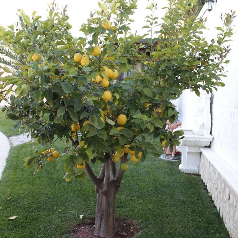 B&B Barletta Acasamia Con Parcheggio Privato 外观 照片